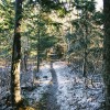Great Smoky Mountains National Park