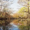 Ishetucknee River, Florida