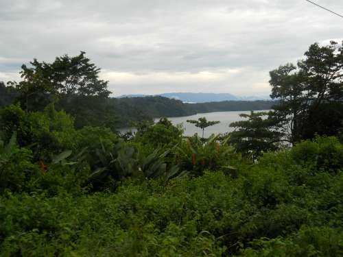 CRgulf Puerto Jimeniz Costa Rica