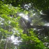 Corcovado National Park Costa Rica