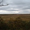 Scuppernong Kettle Moraine