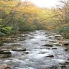 Great Smoky Mountains