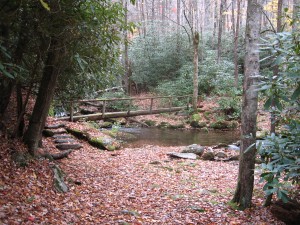 041 Swallow Fork Trail Smoky Mountains