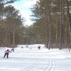 American Birkebeiner