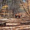 Chicago Backpackers