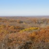 Charles C. Deam Wilderness