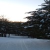 Scuppernong Trail in South Kettle Moraine