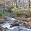 Great Smoky Mountains National Park