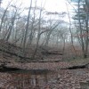 Hoosier National Forest