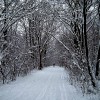 Chicago snowy trail