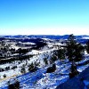 Custer State Park South Dakota