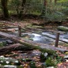 Great Smoky Mountains National Park