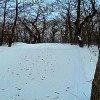 Lapham Peak Wisconsin