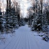 Palmquist Farm cross-country ski trail Wisconsin