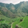 Philippine rice terraces