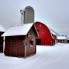 Palmquist Farms Wisconsin