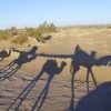 Sahara Desert