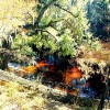 Suwannee River Florida