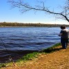 Walleye Days in Nekoosa, Wisconsin