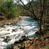 Kayaking the Great Smoky Mountains