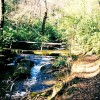 Great Smoky Mountains National Park