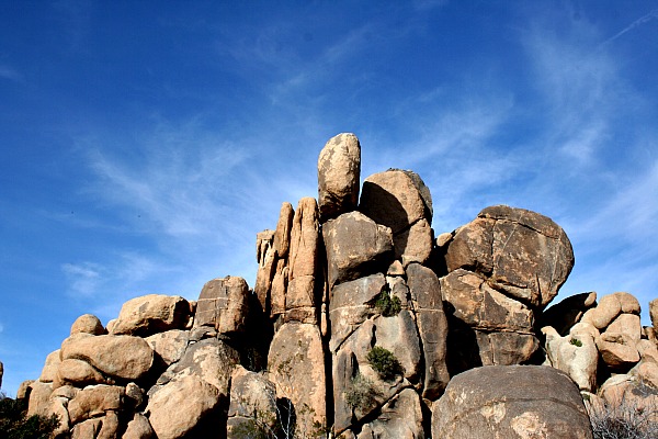 148 Joshua Tree National Park