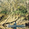 Canoeing Florida