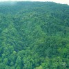 Corcovado National Park in Costa Rica