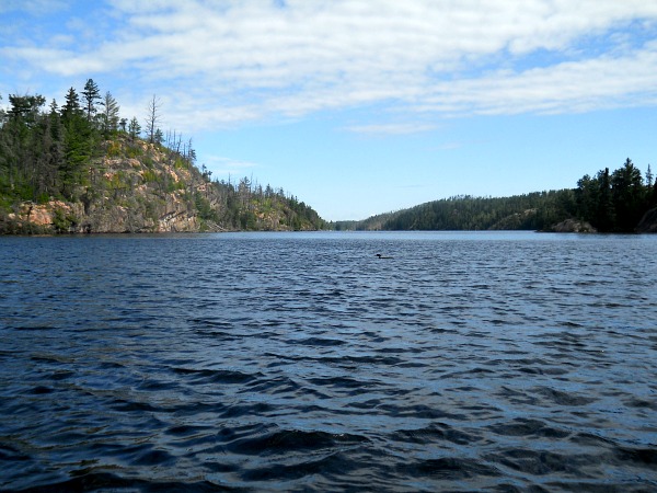 Queticoloon Quetico Provincial Park