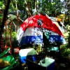 Summer Camp Music Festival