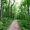 Empire Dunes Trail