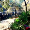 Suwannee River