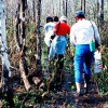 Everglades swamp walk