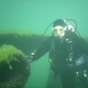 Scuba diving