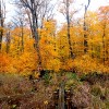 Porcupine Mountain fall color