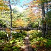 Lake Superior Trail Porcupine Mountains