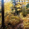 North Country National Scenic Trail Michigan