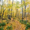 Porcupine Mountains Michigan