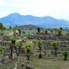 Cantona Olmec Ruins Mexico