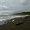 Corcovado National Park Costa Rica