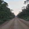 Georgetown-Lethem Road Iwokrama Guyana