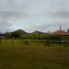 Guyana Oasis