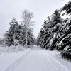 Winter wonderland Wisconsin