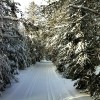 Ham Lake Ski Trail