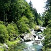 French Pyrenees