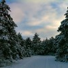South Kettle Moraine State Forest