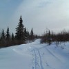 Fresh snow on the Gunflint Trail