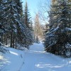 Gunflint cross-country ski crash