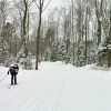 Birkie skier