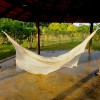backpacker accommodation